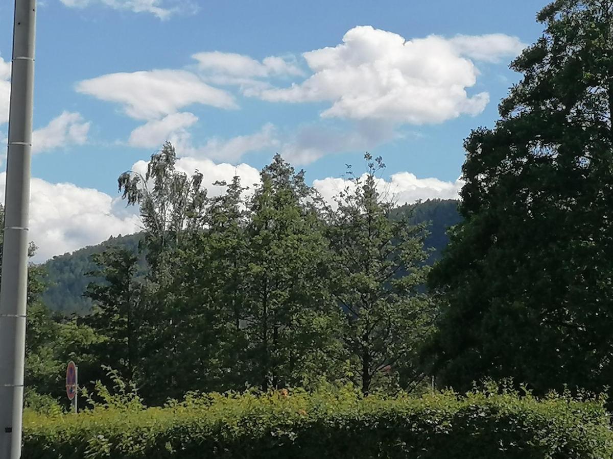 شقة Toepferblick Olbersdorf المظهر الخارجي الصورة